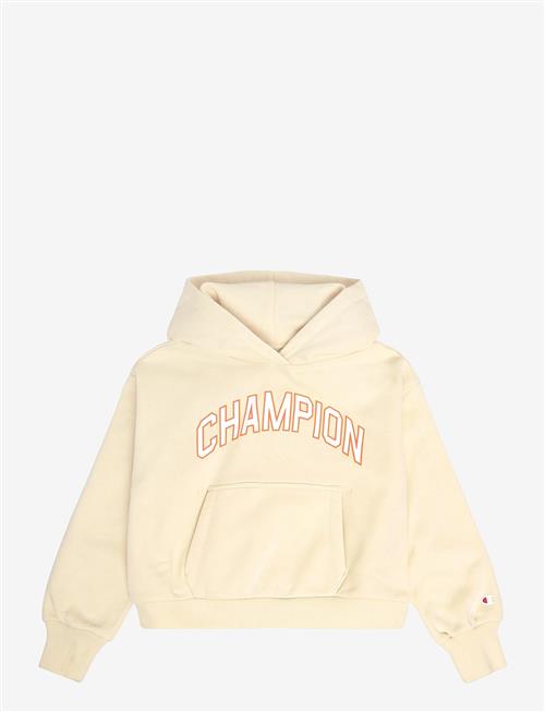 Champion | Hooded Sweatshirt | 104