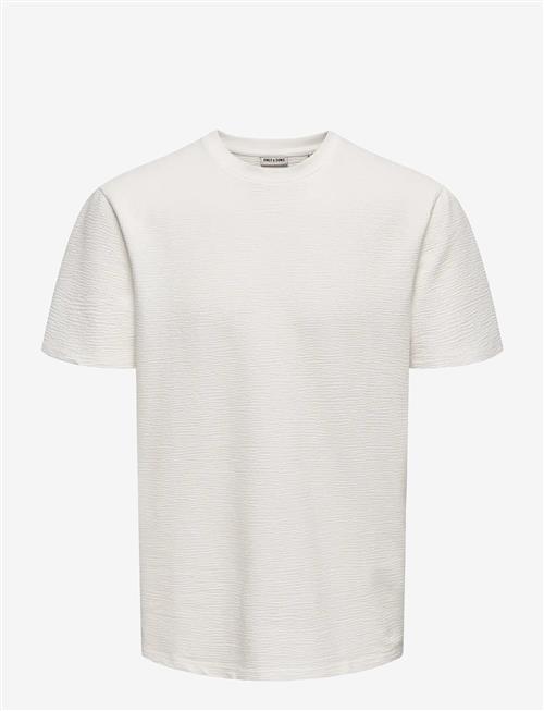 ONLY & SONS | Onskian Life Reg Seersucker Ss Tee Noos | L