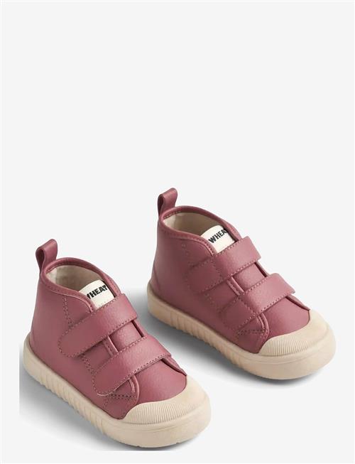 Wheat | Sneaker Leo | 30