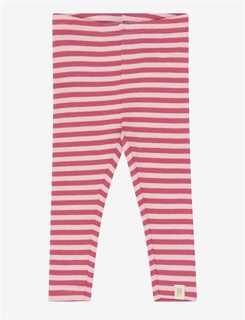 Petit Piao | Ppair Leggings | 104