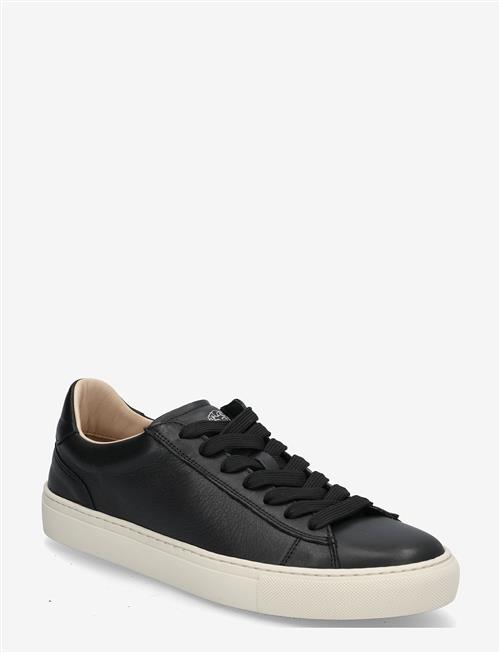 Sneaky Steve | Grand Black | 40