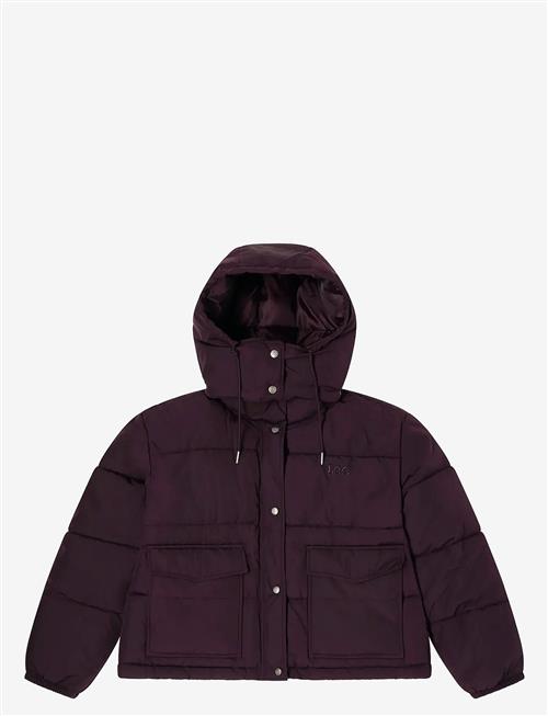 Lee Jeans | Short Puffer With Hood | M