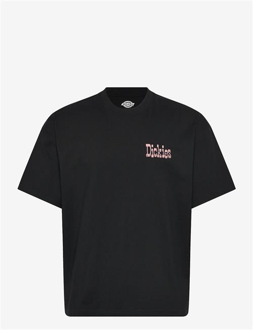 Dickies | Polk Ss Tee | XXL