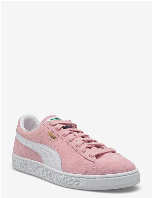 PUMA | Suede Classic | 43