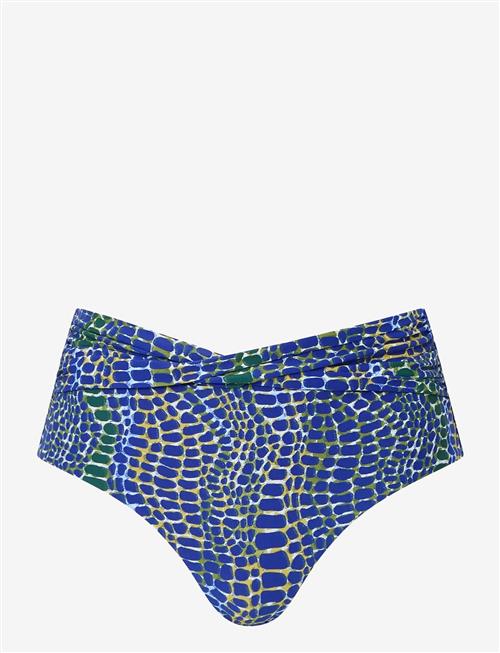 Femilet | Taula Full Brief | 42