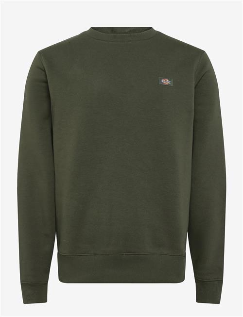 Dickies | Oakport Sweatshirt | M