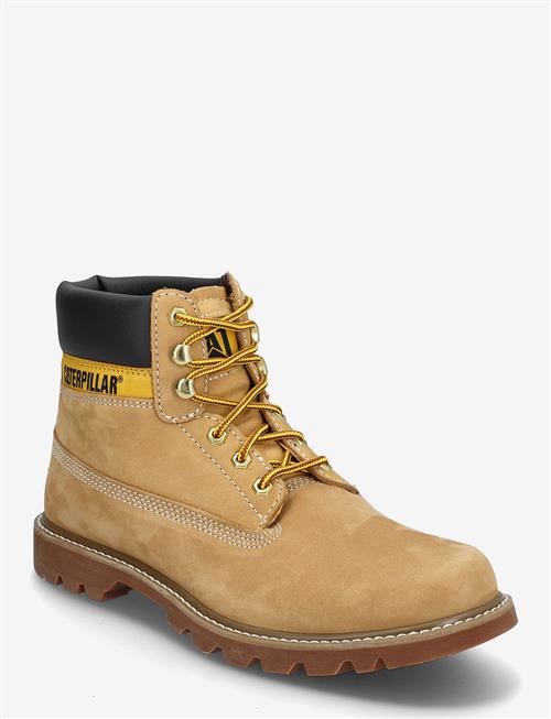 Caterpillar | Colorado 2.0 - Honey Reset | 43