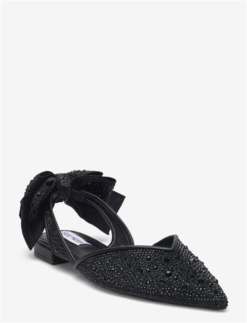 Steve Madden | Synthia-Mr | 41