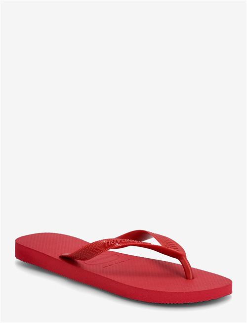 Havaianas | Top | 43-44
