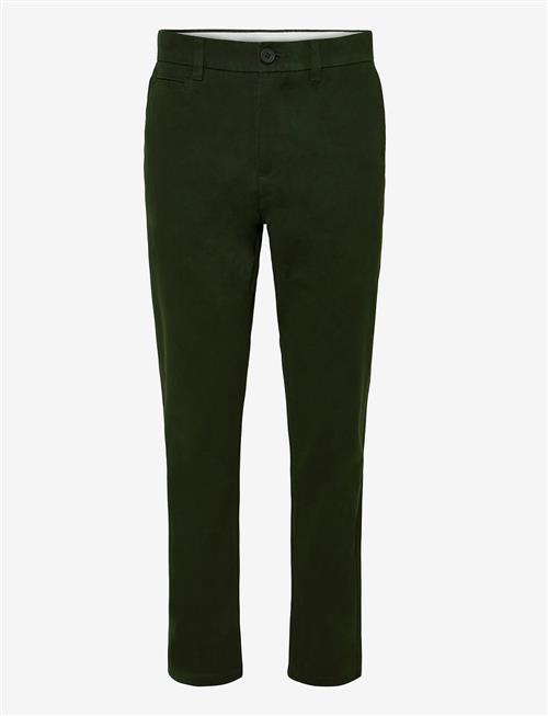 Knowledge Cotton Apparel | Chuck Regular Chino Pants | 36 x 34