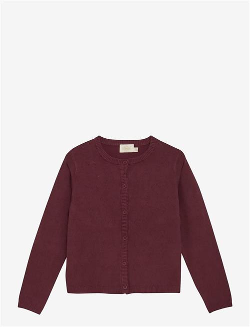 Creamie | Cardigan Pointelle | 104