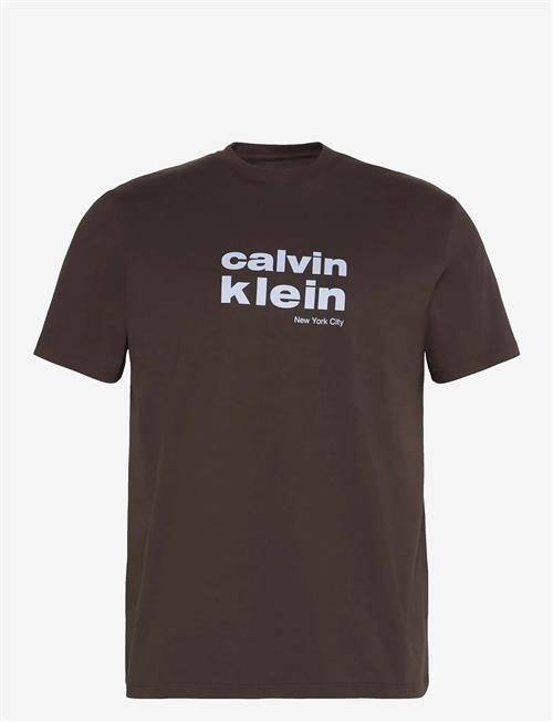 Calvin Klein | Ss 30S Whsl Ckj Jersey Graphic T | M