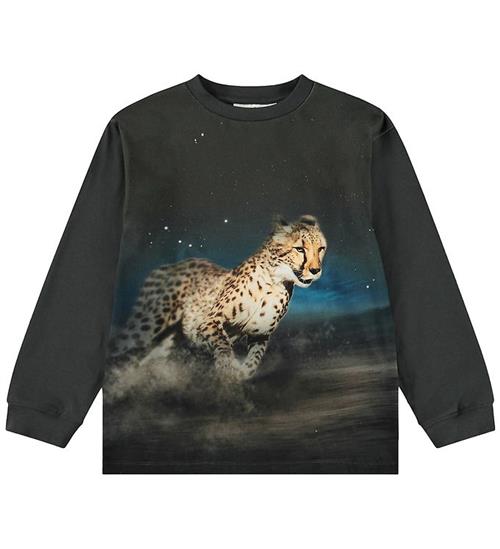 Molo Bluse - Rube - Cheetah Run